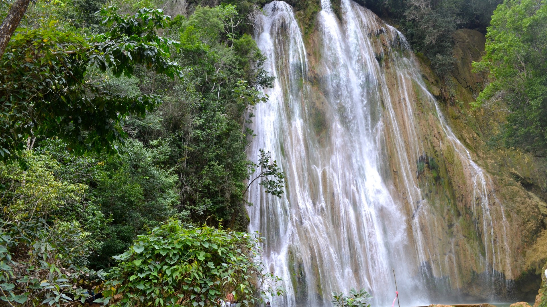 Samana - El limón waterfalls