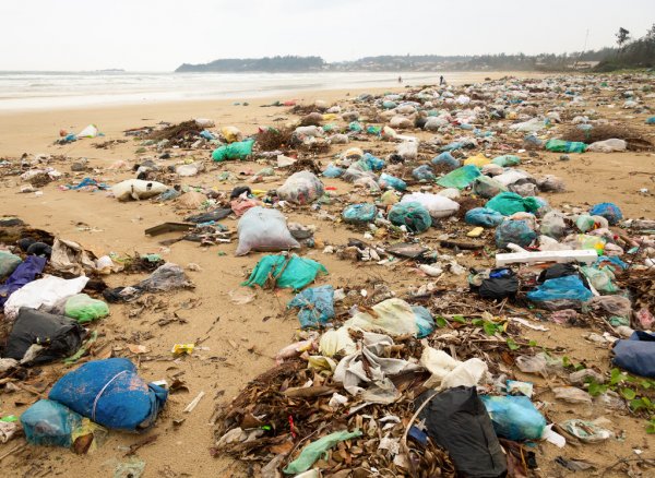 Photo of El Día Internacional de Limpieza de Playas