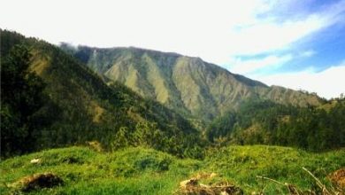 Photo of El Bahoruco Oriental es la “Madre de las aguas” de todas las estribaciones montañosas de la Sierra del Bahoruco.