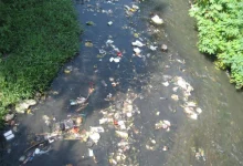 Photo of Condenan a granjero por contaminar el río Jamao en Moca
