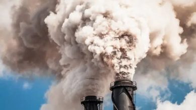 Photo of El Impacto de la Actividad Humana en la Destrucción del Medio Ambiente